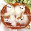 fake plush toys fur animal small plastic simulation cat