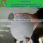 304 Micron stainless steel wire oil filter mesh netting