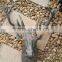 2017 Resin deer head decoration fiberglass home decoration