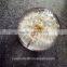 Custom shape artificial dandelion acrylic paperweight