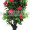 HX0101033 artificial peony flower tree