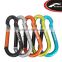 Alu D Shaped Camping Carabiner with Compass Strap Keyring