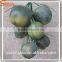 2016 New artificial coconut palm tree for outdoor decorative sale