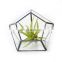 terrarium glass geometric terrarium plants for house decoration