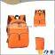 Men's Travel Nylon Bag Hiking Backpack School Bags Trendy Backpack Outdoor Adventure Anti Theft Backpack