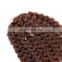 bundle weft Brazilian Remy Virgin human crochet hair extension braids