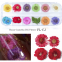 Natural Floral Leaf Stickers Tiny Dried Flowers For Nail Art Camellia Dry Flower