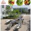 Customized  fruit processing equipment