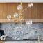 Fancy Interior Decoration Chandelier Light Modern House Pendant LED Lamp