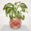 Cheap wall basket decor hanging rattan seagrass woven handmade natural hanging baskets for plants outdoor