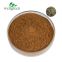Wellgreen Factory Natural High Quality White Willow Bark Extract 15% Salicin