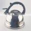 2.5L eco-friendly s/s water kettle with full color coating tea pot