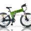 250W Electric Mountain Bike with Hidden Battery