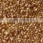 Top quality roasted hulled buckwheat for sale