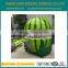 Outdoor Fiberglass Buffet juice Kiosk FRP Food Kiosk