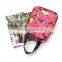 2015 picnic bag ,breast milk storage bag, lunch bag