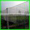 HDPE hail guard net for apple tree ,the best anti hail net