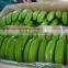 Banana green