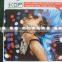 PVC Laminated flex banner--frontlit 200D*300D 18*12 280gsm