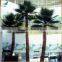 Indoor preserved washingtonia palm tree fake tropical big palm tree