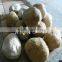 artificial stone decor stone for garden landscaping made of firberglass