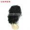Ceres factory wholesale lace front kinky curly wig afro kinky human hair wig for black women