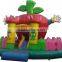 Indoor Inflatable Bouncer For Kids Game