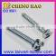 Taiwan Supplier One Way Security M5 Screw Zinc