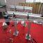 Food Grade Conveyor of Multiflex Chain For Food Transport