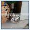 Gazing Stainless Steel Ball