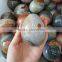 Custom Different Sizes Ocean Jasper Eggs Easter Stone Eggs Gifts
