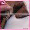 Wholesale Price 7A Brazilian Double Drawn Hair Tape Hair Extension