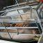 pig feeder