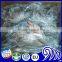 Frozen premium tilapia fish whole round price