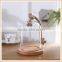 eco-friendly wedding glass bell dome with base