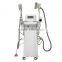 Beauty Salon Equipment Low Price Increasing Muscle Tone Cryolipolysis Slimming Machine Price Cryolipolysis Machine 3.5