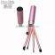 Portable Beauty Factory Price 5Pcs Eye Shadow Makeup Brush Set With Case