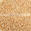 brown sesame seed