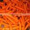 2016 New crop Fresh Carrots
