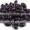 GMP Factory Supply Natural Grape Seed Proanthocyanidin Extract
