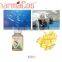 Refined Fish oil soft capsules