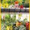 High quality and Popular coloured plant pots Flowerpot with A wide variety of made in Japan