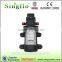 Singflo 12v dc 35psi fire sprinkler pump