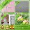 15*15MM anti bird net bird netting mesh