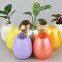 UV oil coated colorful shell planter from oem factory