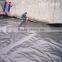 Hot sale and Top quality High Density Polyethylene (HDPE) Geomembranes and Liners