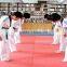 Wholesale good quality durable shockproof non toxic MMA judo tatami mat