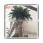 2016 Artificial Date Palm Tree For Swimming Pool Decoration