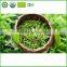 Chinese Green Tea price Sen Cha the vert de chine green tea benefit slimming green tea
