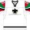 Hongen apparel Wholesale Blank Custom Hockey Jersey,European Sublimation Ice Hockey Jersey With Tackle Twill Embroidery